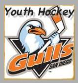 GullsYouthLogo